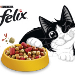 Felix Katzen Gratisprobe