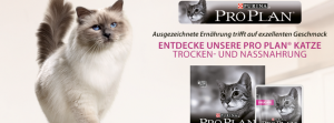 Katzenfutter kostenlos