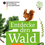 Waldfibel kostenlos