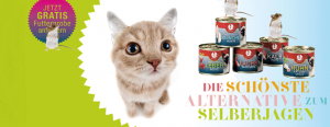 Futterprobe für Katzen kostenlos